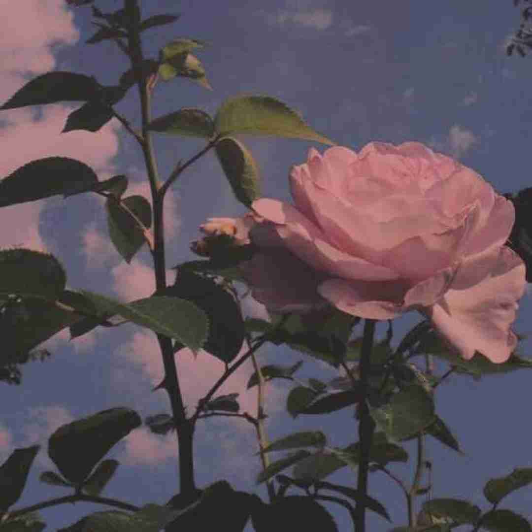  سیارمو میگردم کسی نمیدونه دردم ورژن گیتار
