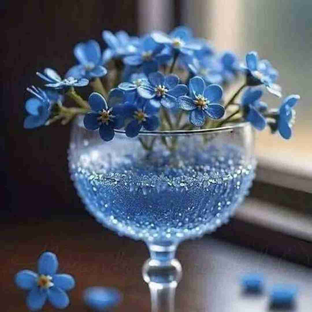  گری دوندورن گوردنمو گیچ میشی