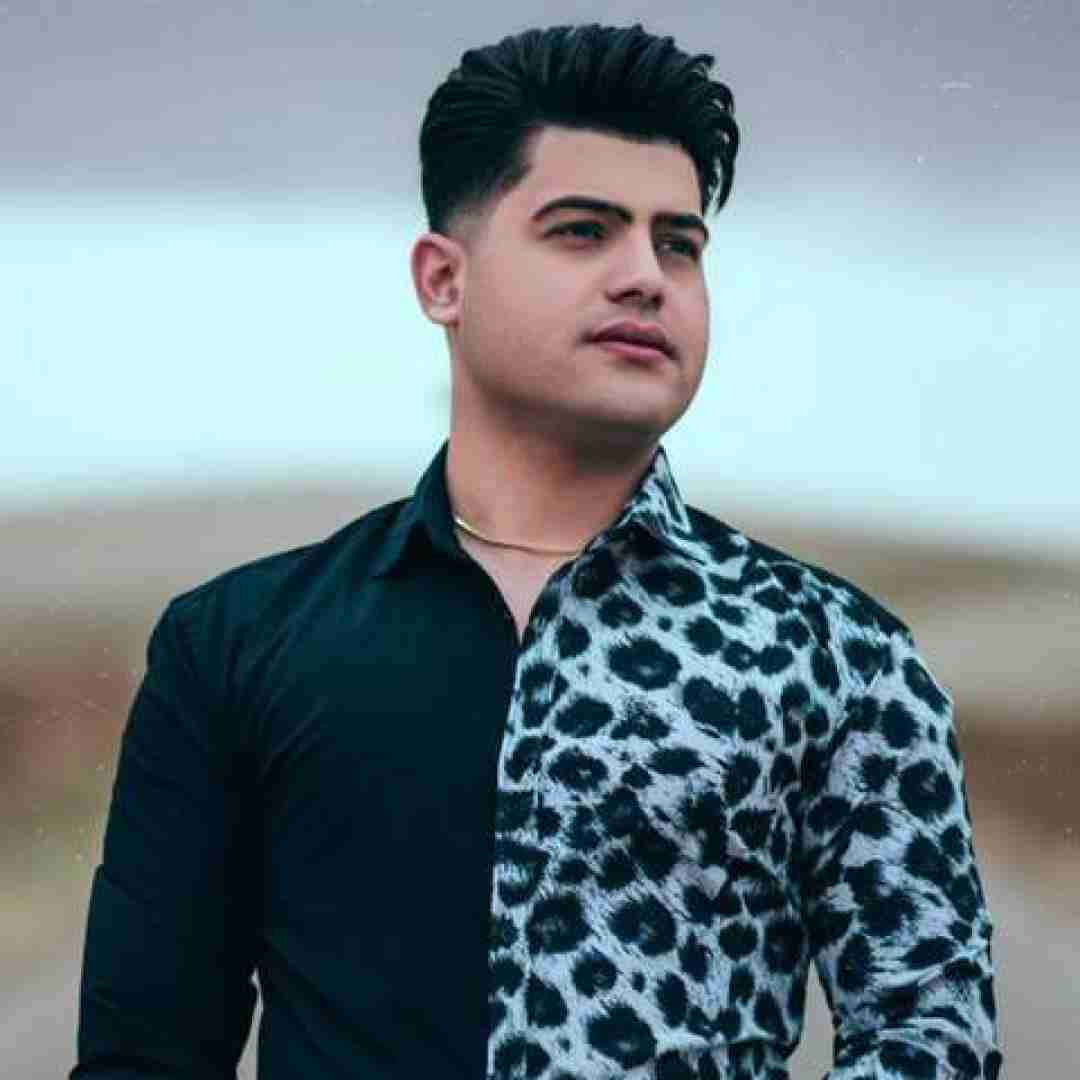 امیرحافظ رنجبر ولنتاینت مبارک پایتخت نشین قلبگم