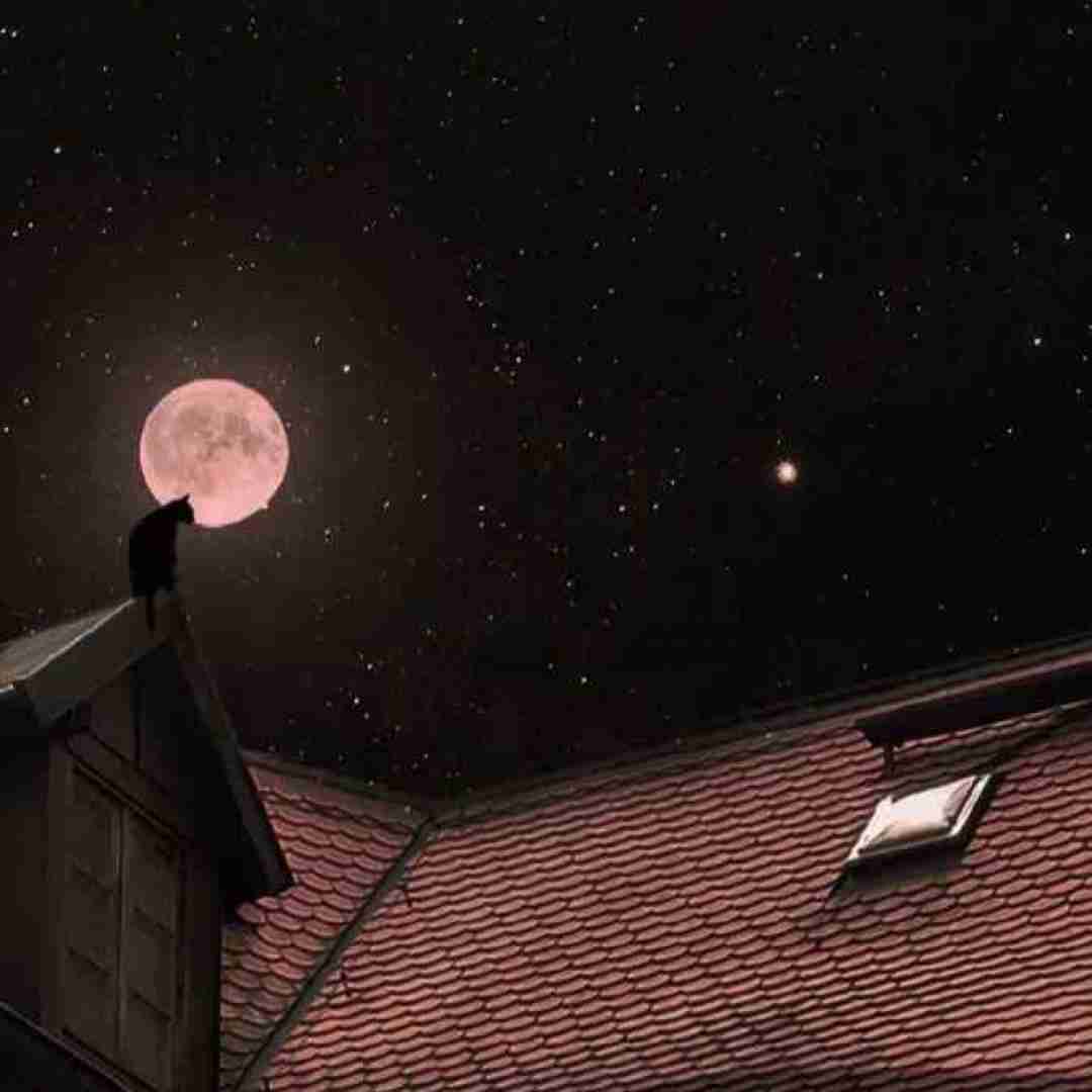 درک نداری بینی که مه چمه اگه راه داره برگرد بیا