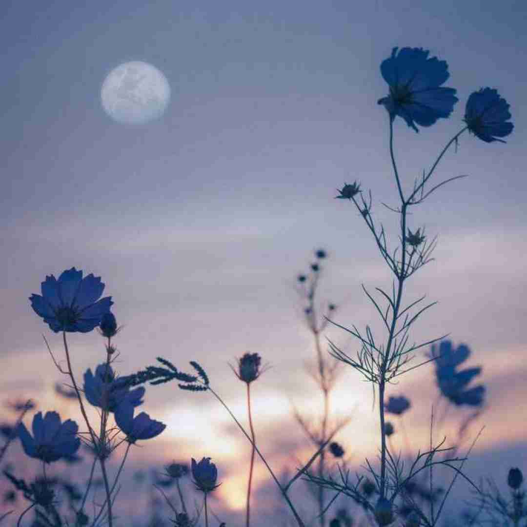 خارجی من سعی کردم ذهنمو دوباره تنظیم کنم