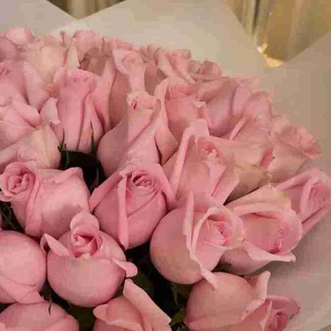  دورم داداشام همه بلادی آشنات میکنم