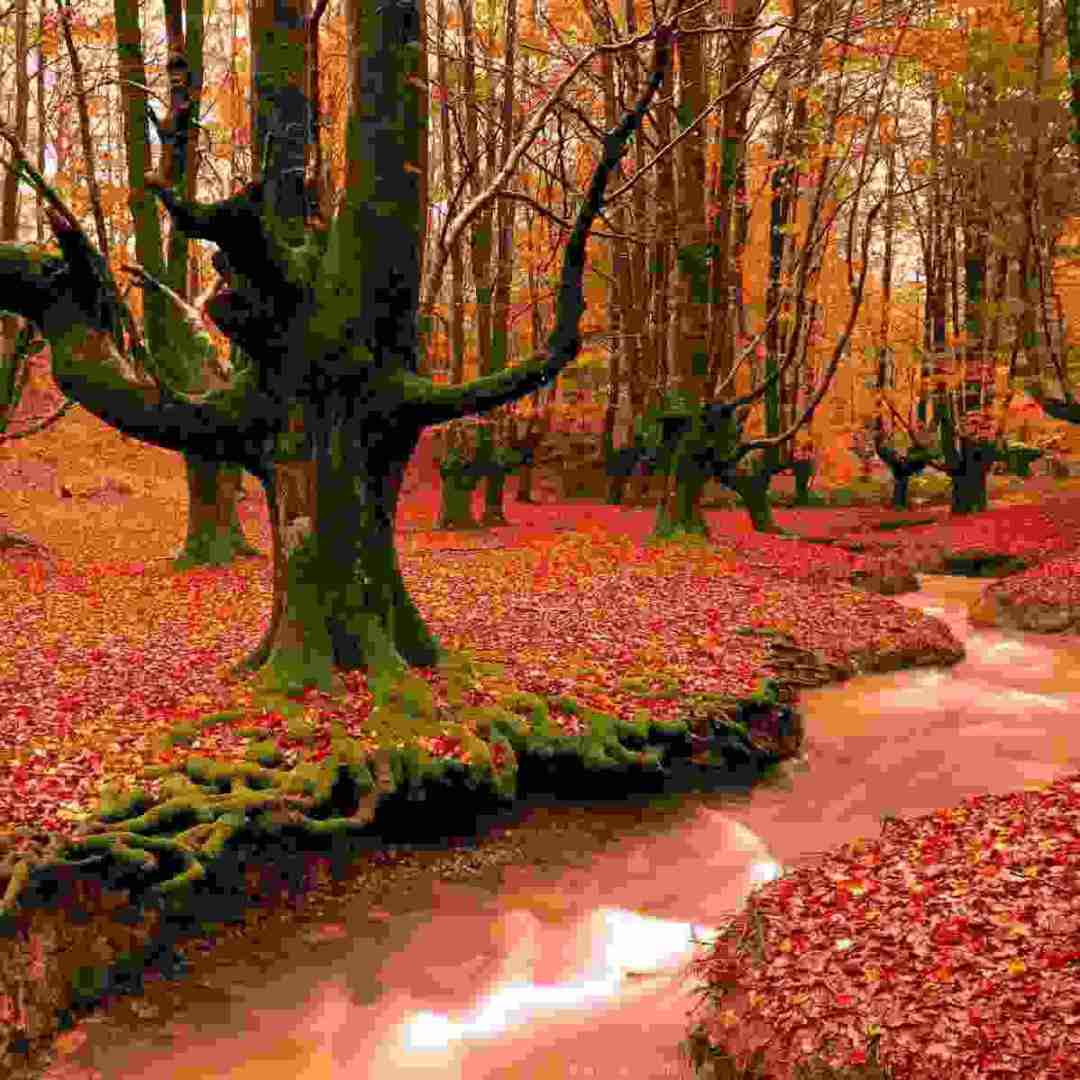 قلب داداش من هواخواش گیر همیم مثل حبس ابد