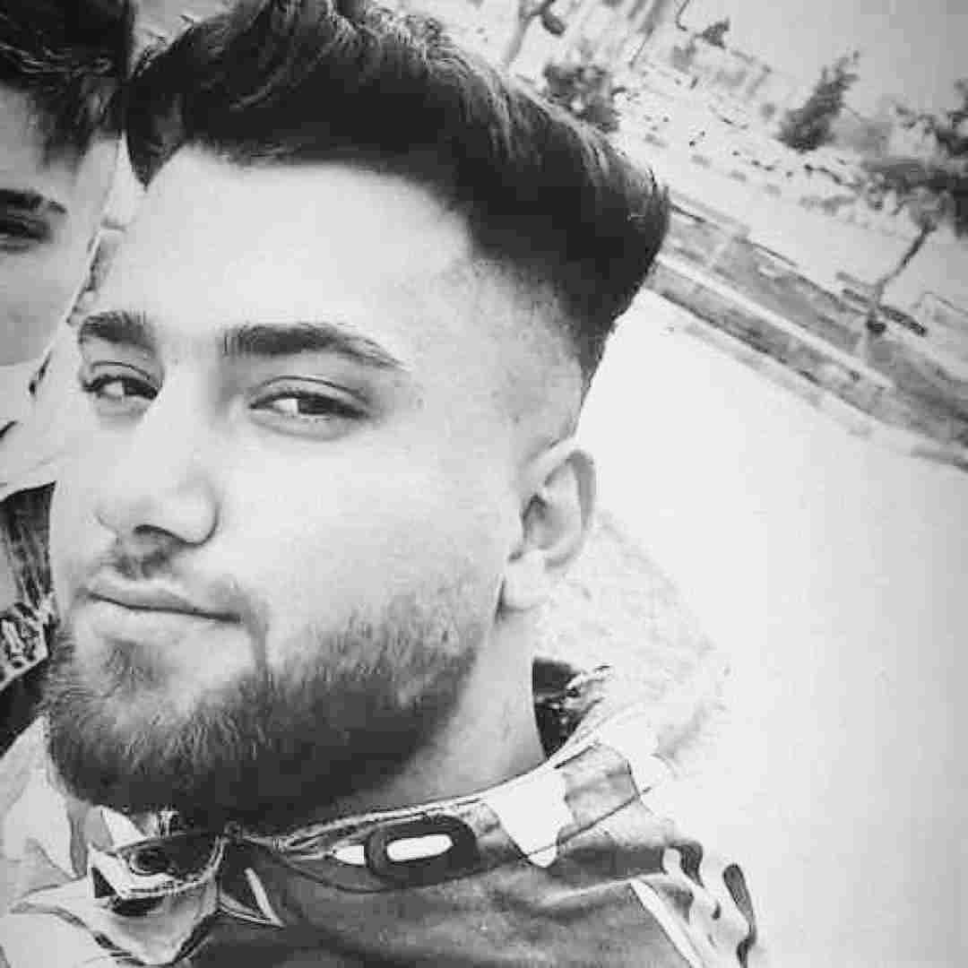 حامد سنجابی نقره ای