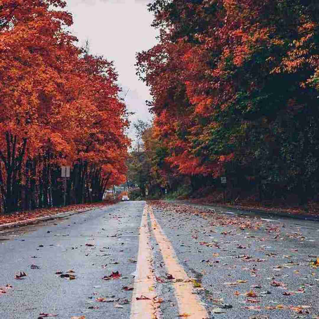  ماشاالله ماشاالله های های ورژن اینستاگرامی