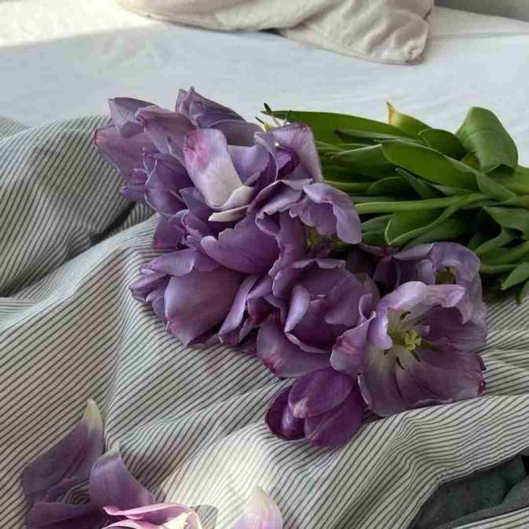 بگو هنوز ماله منی عشق منی یا نه ورژن گیتار