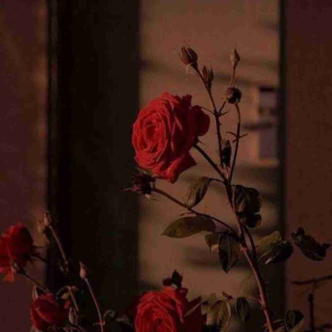  منه دیونه همه چی هنو خوب یادمه