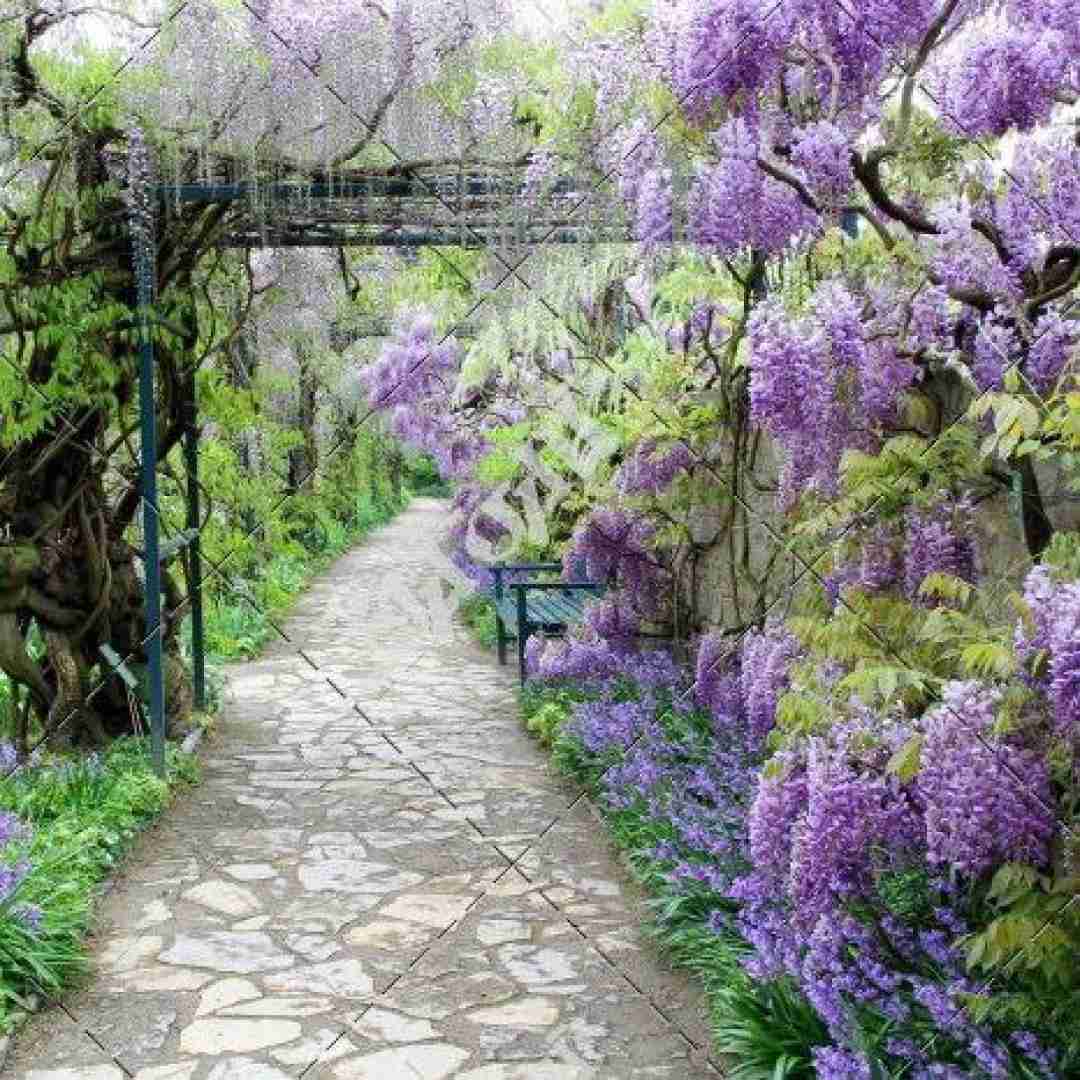 سر تا پا تنم مشکی میپوشم آخی گوزون قارادی