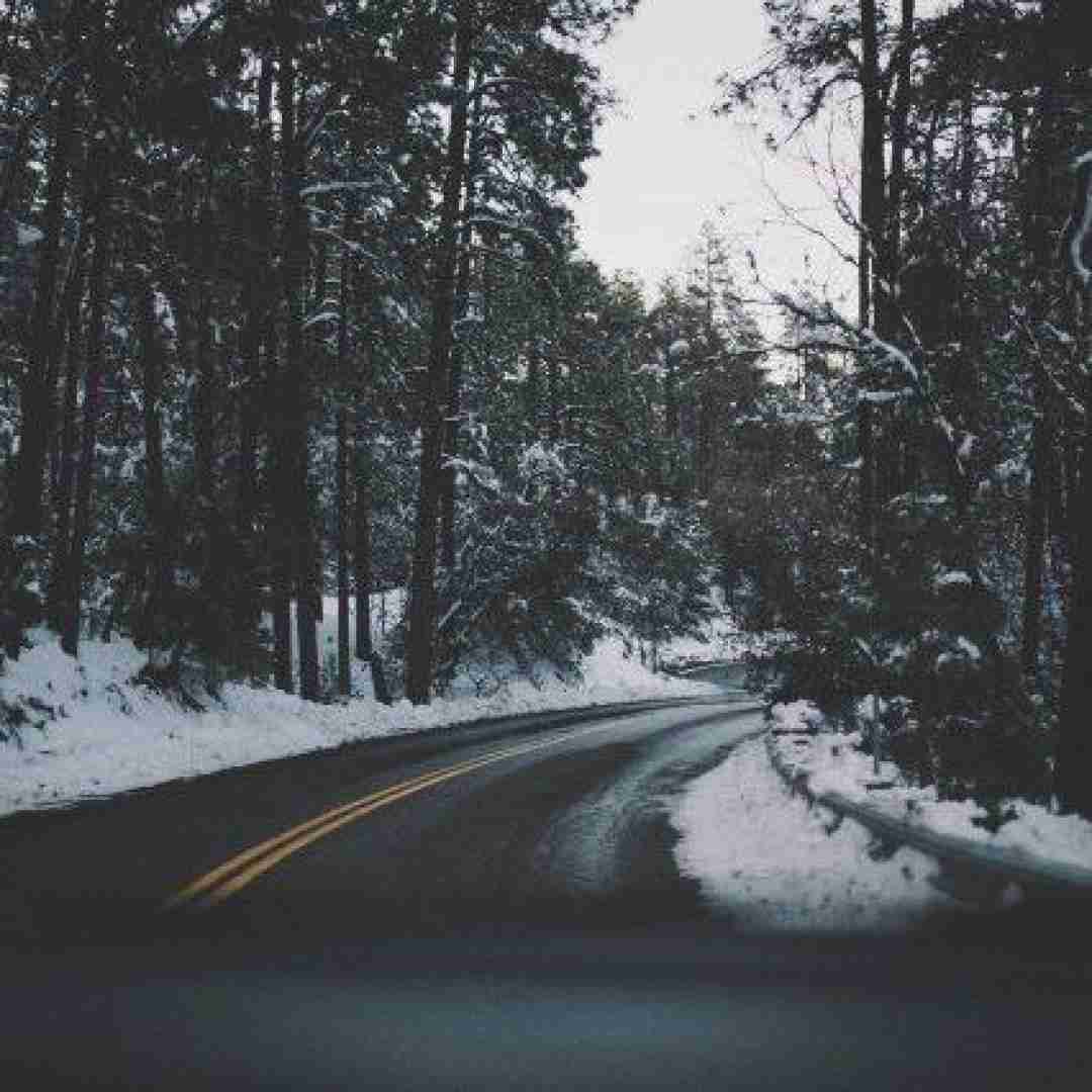 حسن زیرک ده ترسم بمرم جوانه نتبینموا ده ترسم