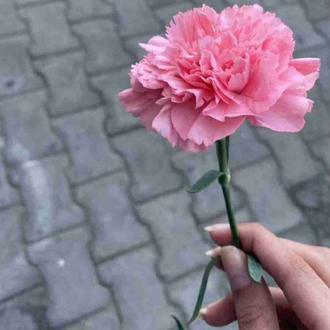 من همون جزیره بودم خاکی و صمیمی و گرم