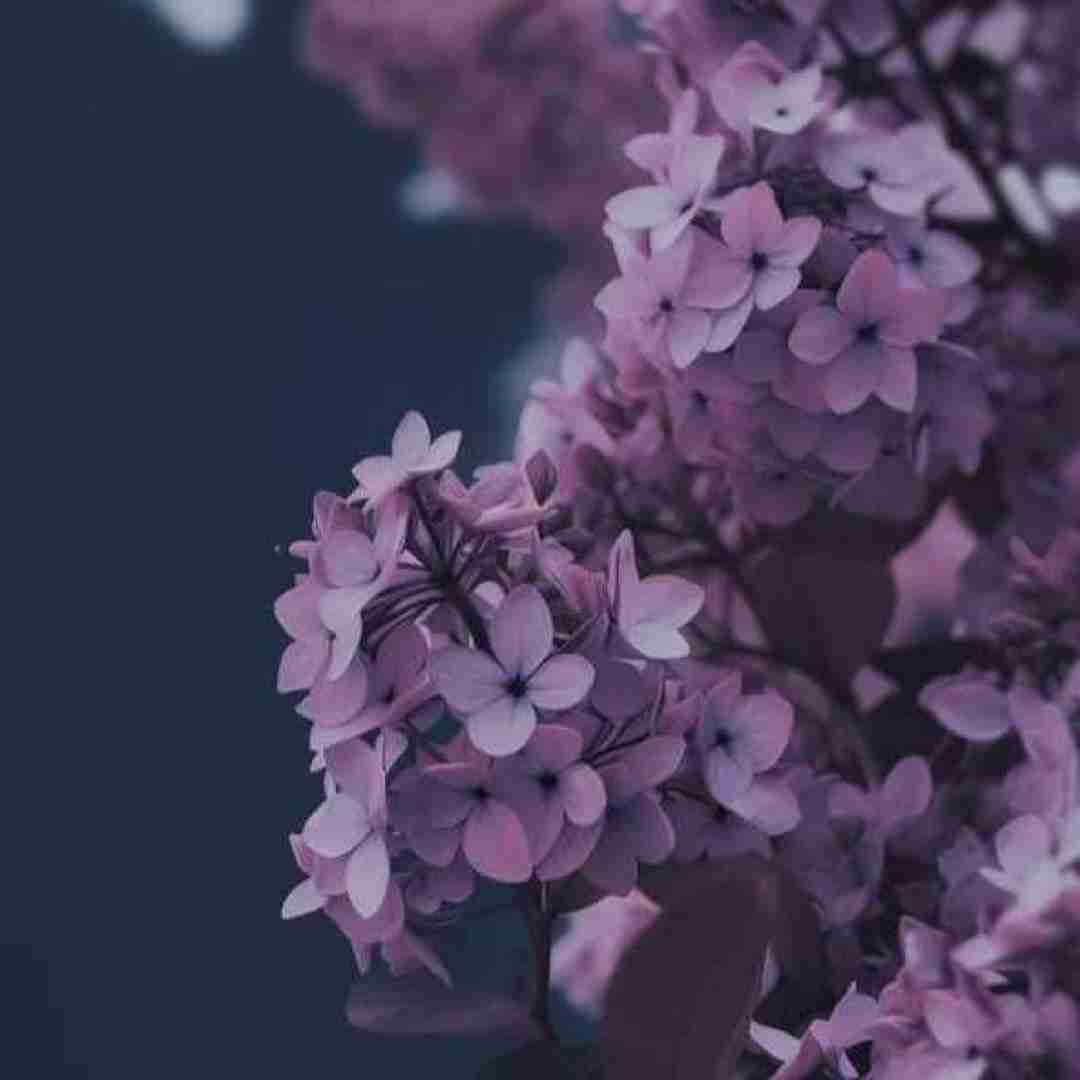 یار سنین آدینی شهرلره یازاریم