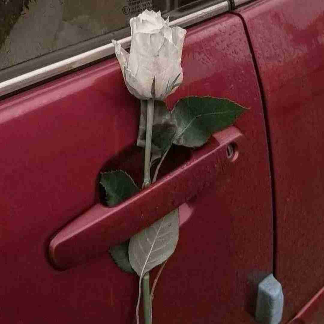 خوبه که اینجوری هوا همو داریم تو بهم