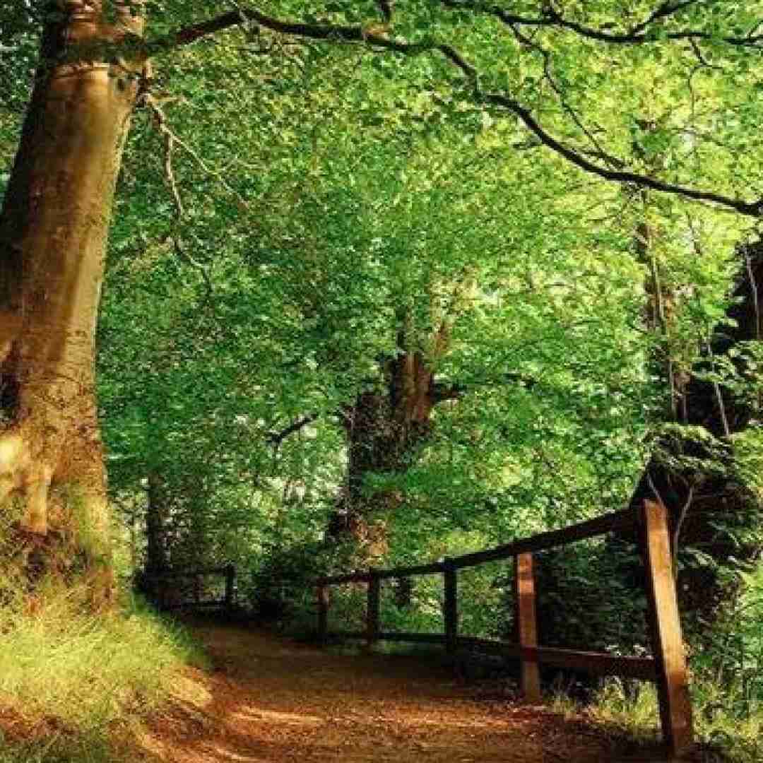  اسمت قسم سختم نازتو میخرم تمام گره خوردی به بختم