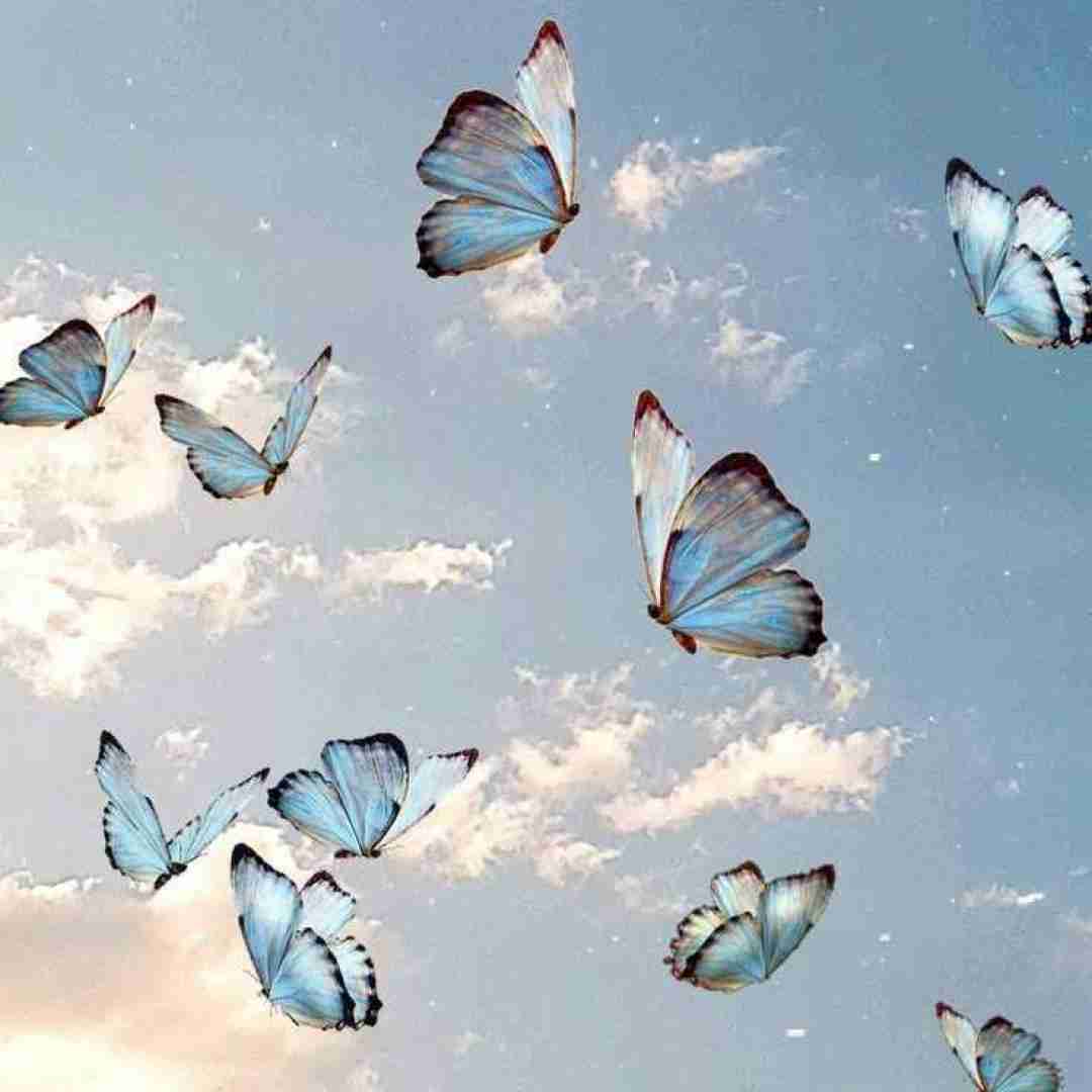  آتشیم دوشدوم باک اولردن با صدای زن ورژن اینستاگرامی