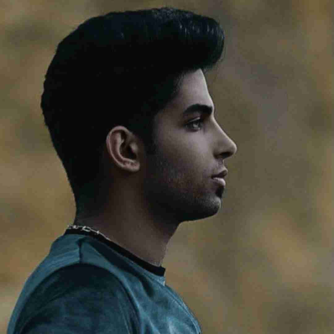 رضا تیموری رکب