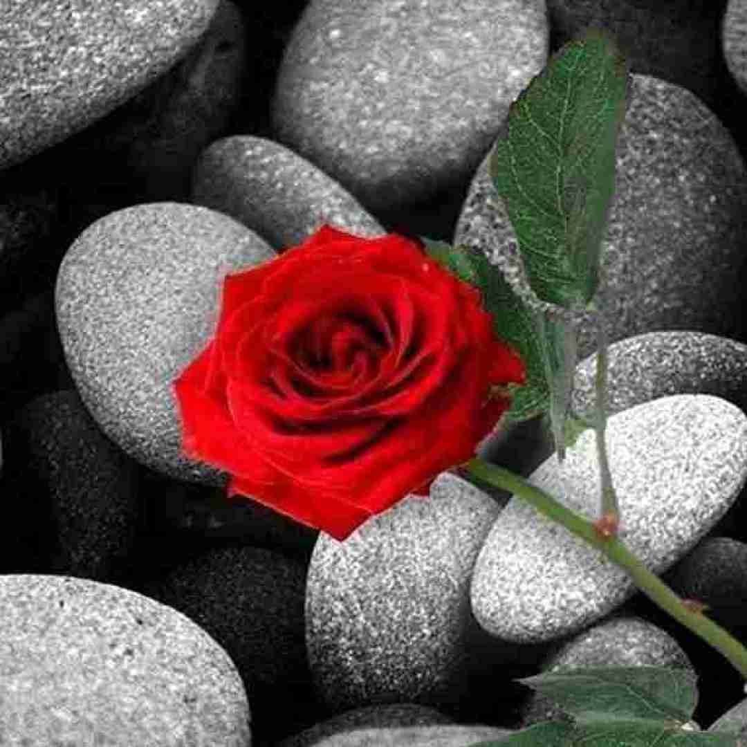  دلتنگی هایش میماند جا ماندی با صدای مرد اینستاگرامی