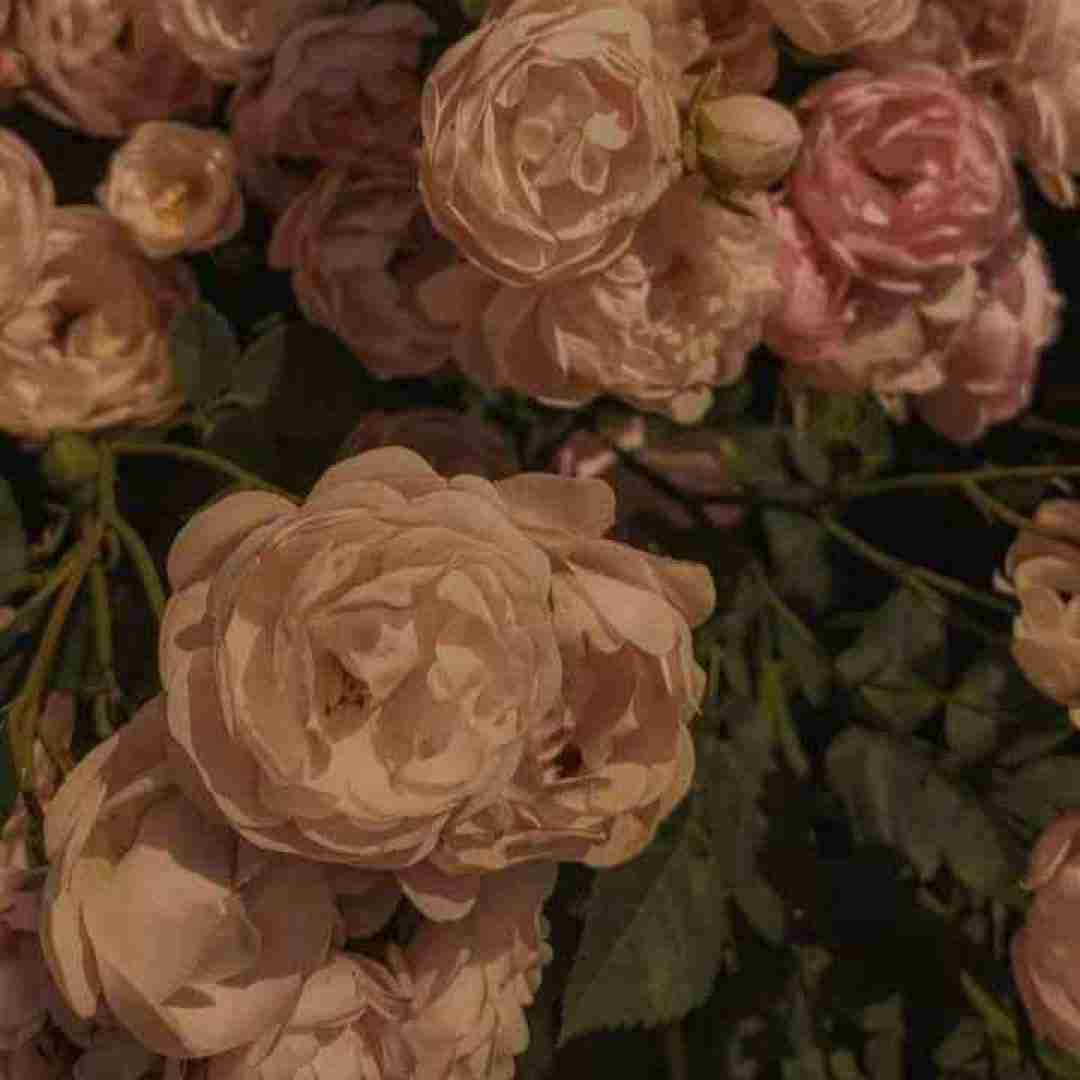  بیقرارم ای نگارم تو کجایی خبر ندارم پرسه های بی امانم در خیابان