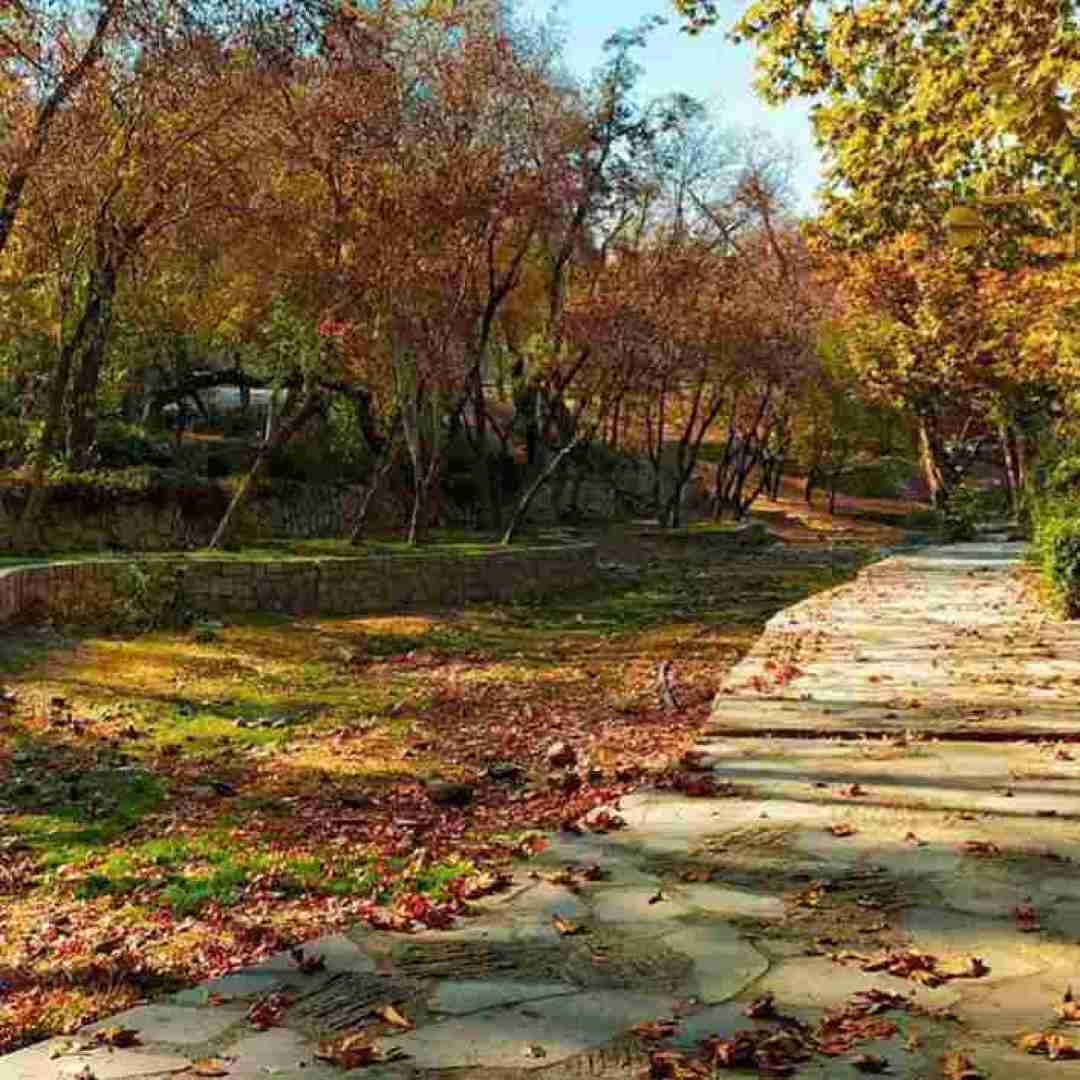  عاشقتم ولی تو رابطه ام حواسم هست ورژن کنسرت