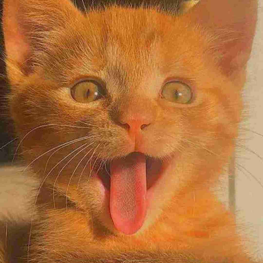  وای از این وابستگی دلو سپردم با صدای بچه