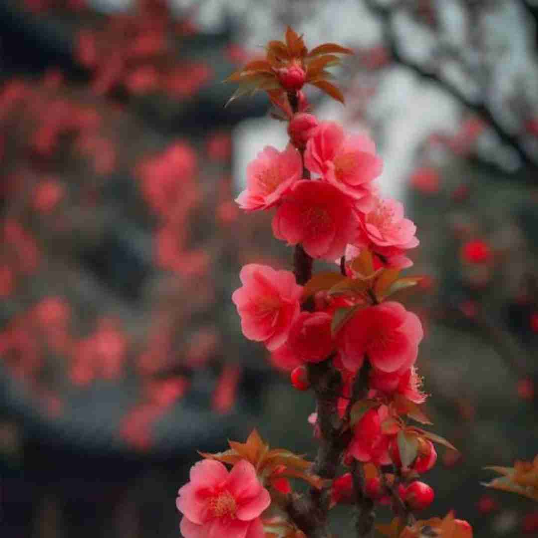 مثل پرسه تو بارونی مثل حاله یه با صدای بچه