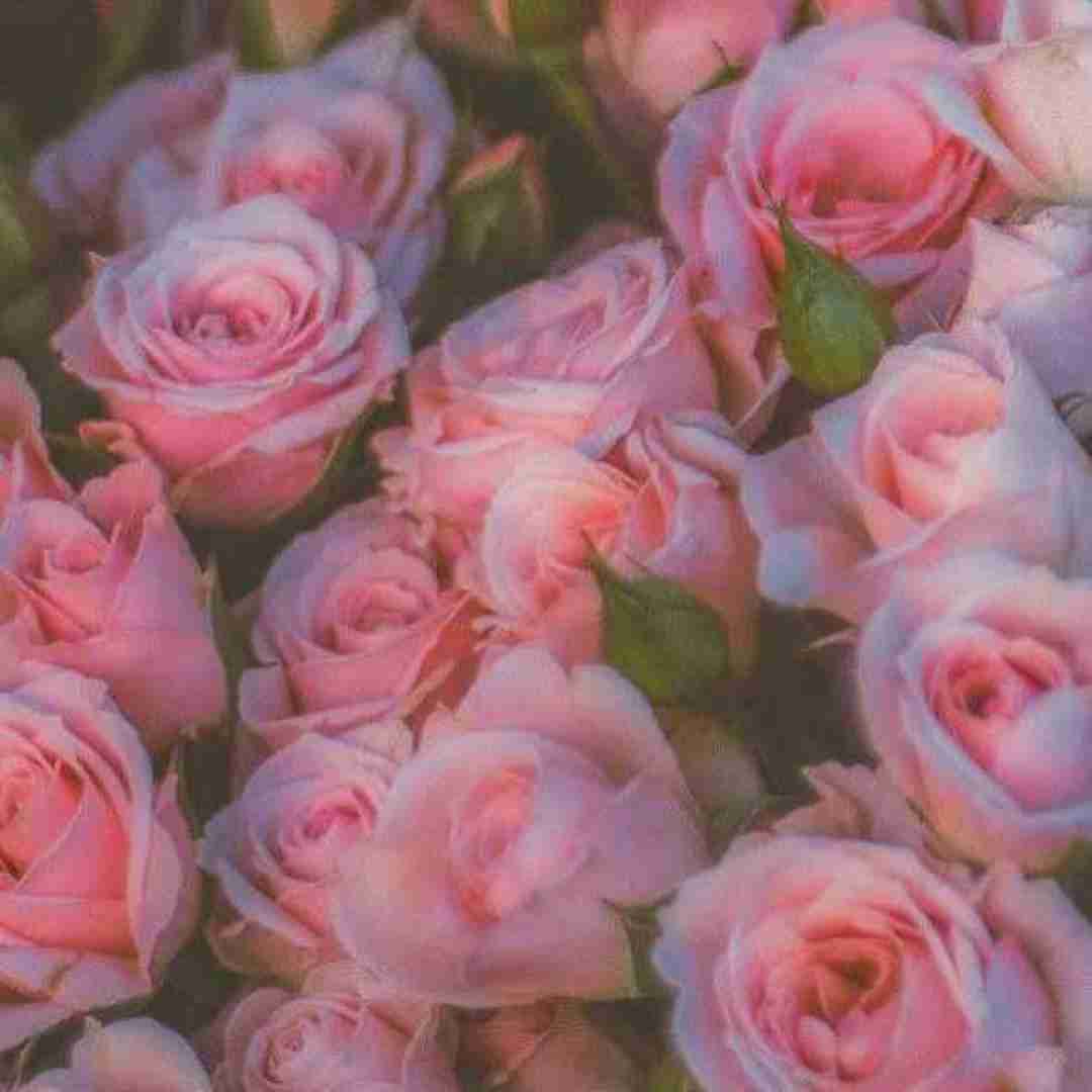  دیگه بت نمیخوام فکر کنم یا پروفایلتو با صدای بچه