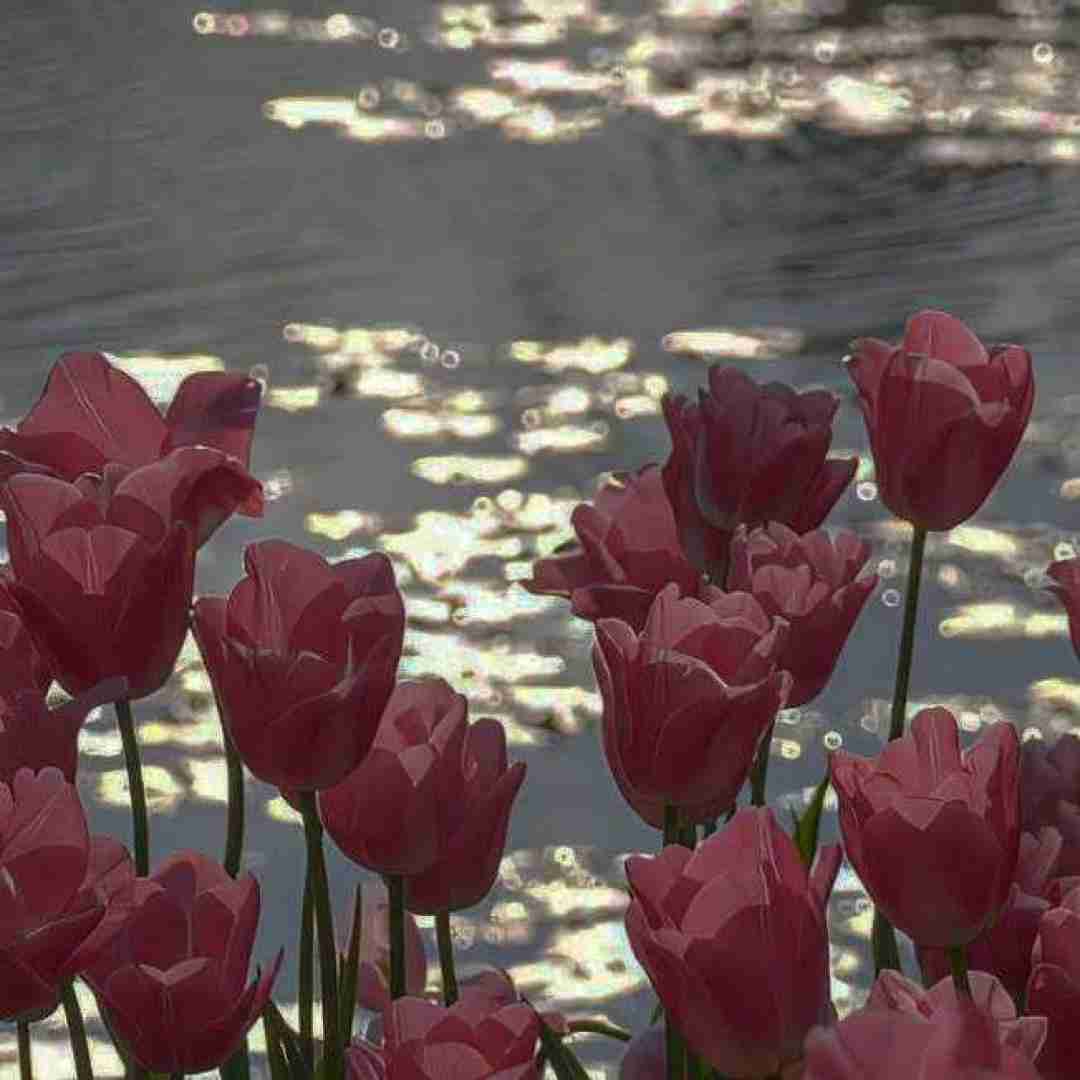  مو او اشکسته بالم که دارم شوق پرواز با صدای دختر اینستایی