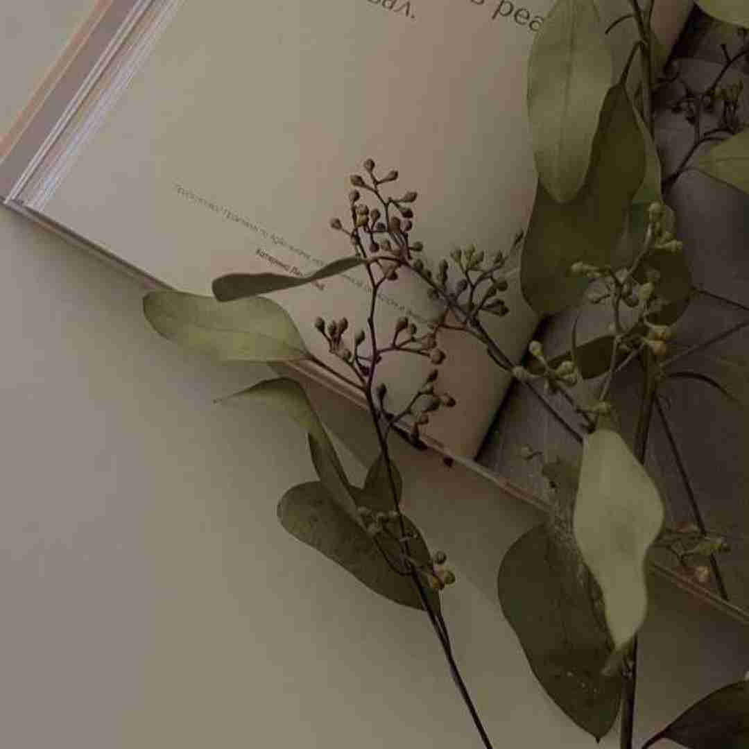  دونه دونه دونه یه ستاره تو آسمونه با صدای بچه