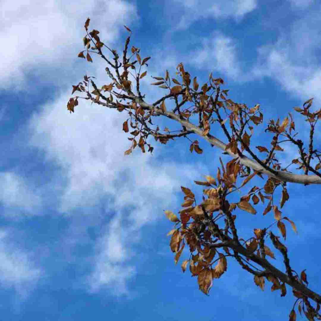  اگه رسیدی به جایی دیدی احتیاج داری با صدای مرد