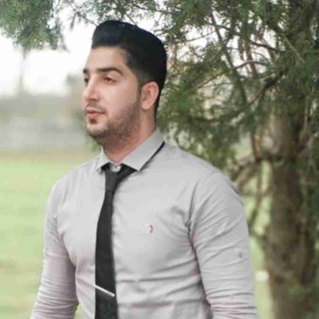 آرمین سبزواری آشوبگر