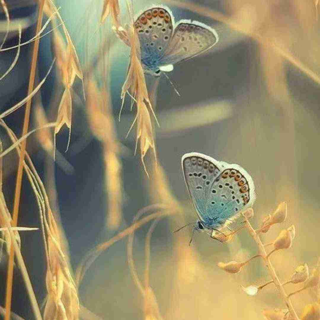  بی من نتوانی این خط و نشان لبریزم از عشق با صدای بچه