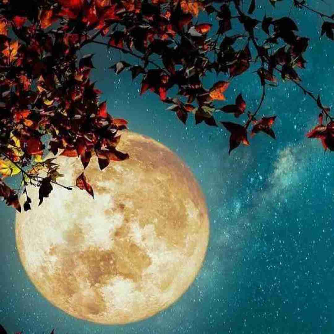  ئه‌مان ئه‌مان یاری ئه‌مان ئه‌مان ورژن ترند اینستاگرام