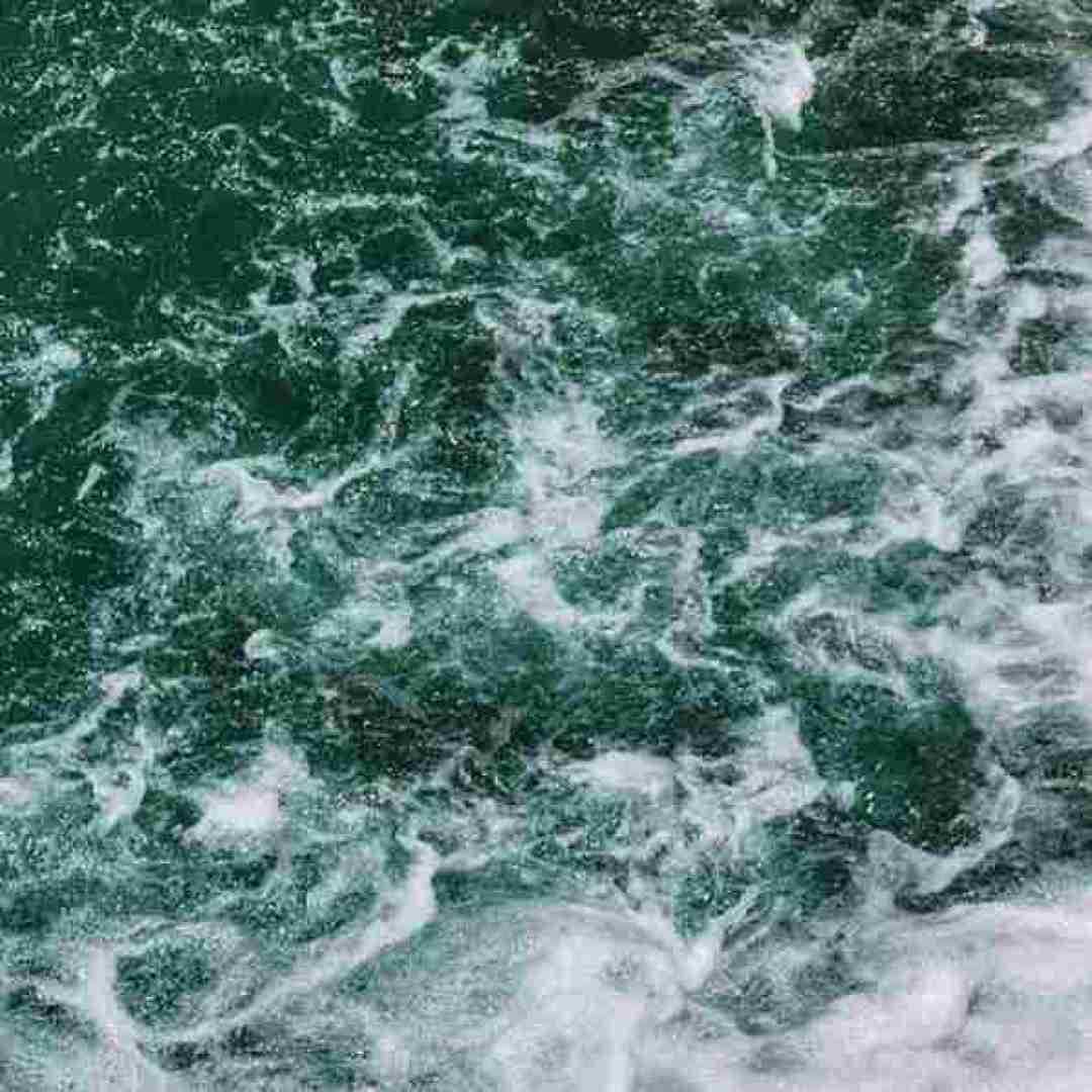 فاطمه عطایی نرم نواجش