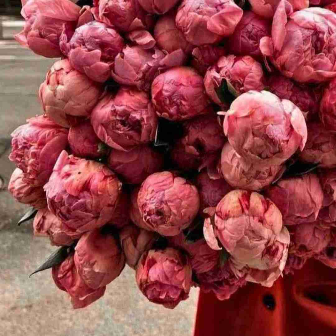 من عاشق چشات شدم چجورم با صدای مرد اینستاگرامی