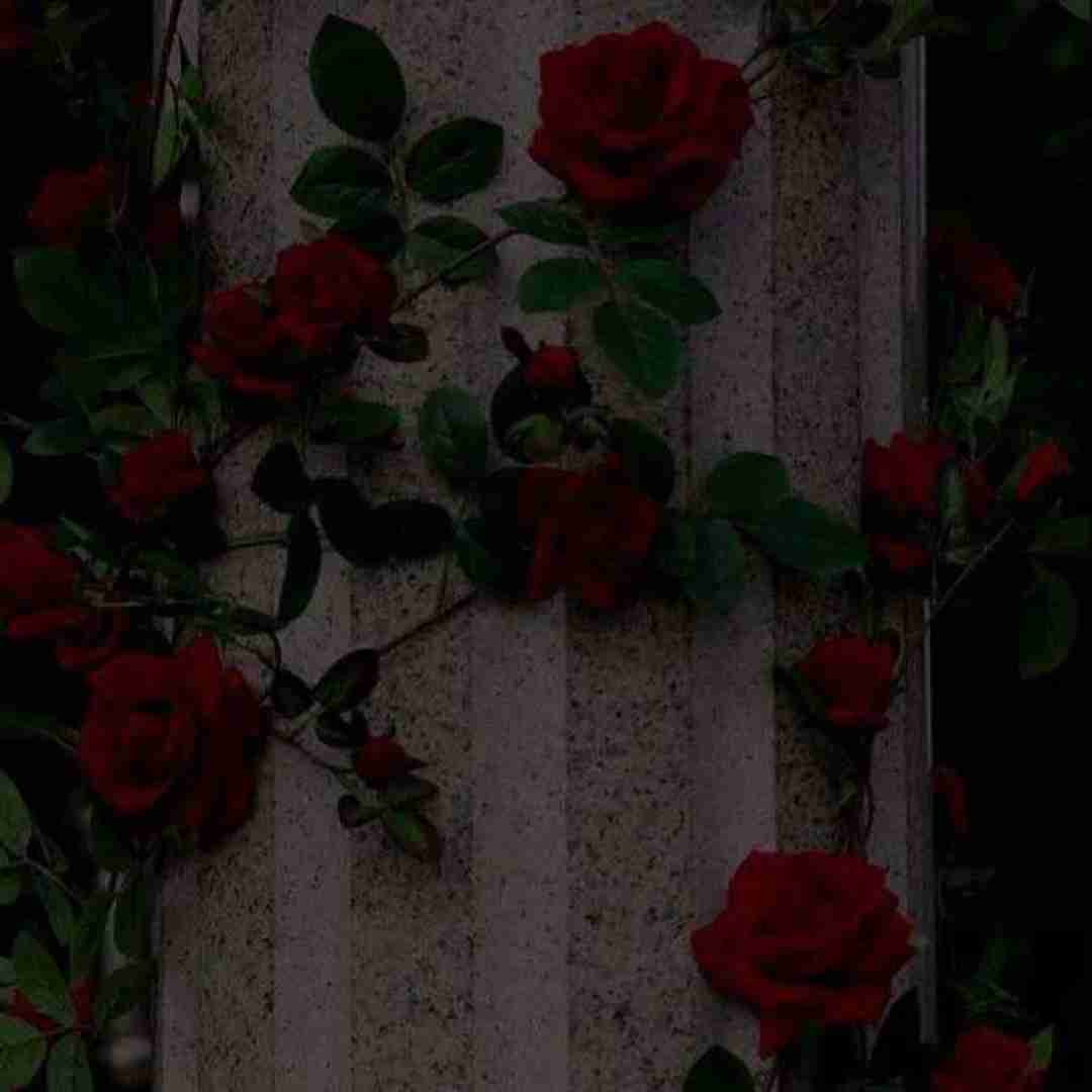  تو اگه با من قهری من که آشتی ام ورژن اینستایی