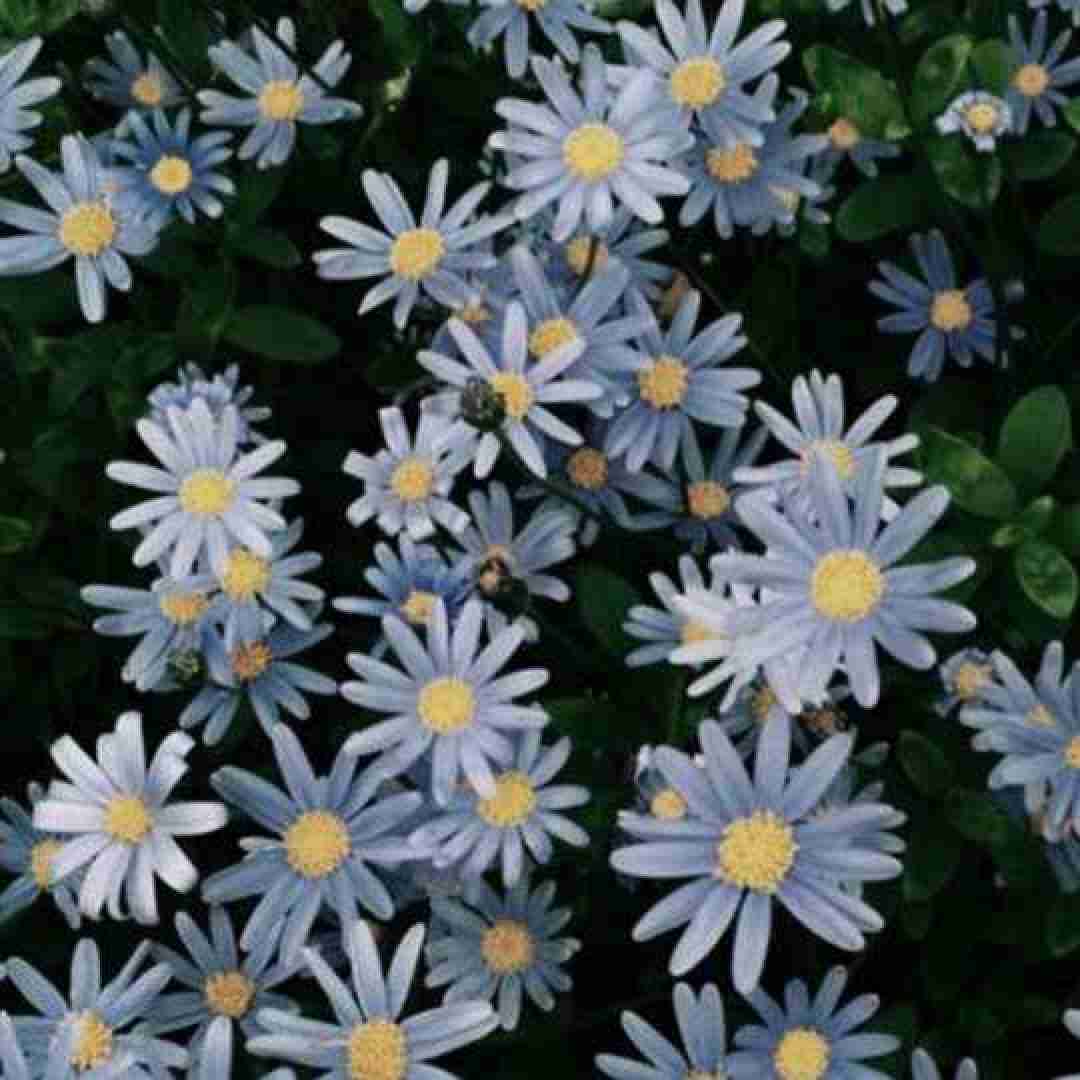  نیستش قابله دسترس عین خط ایرانسل با صدای بچه