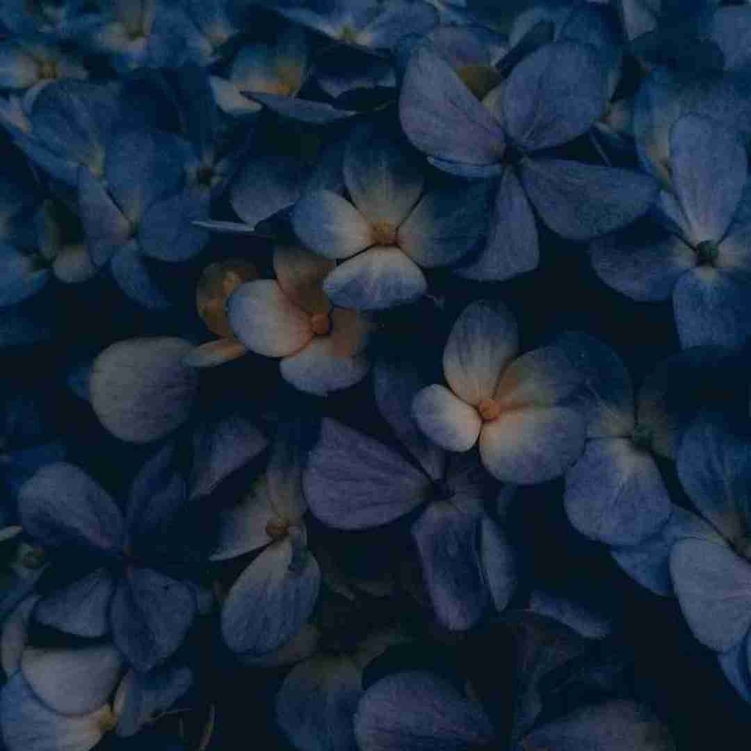  باور کن همه جا شده باتو بهشت با صدای بچه