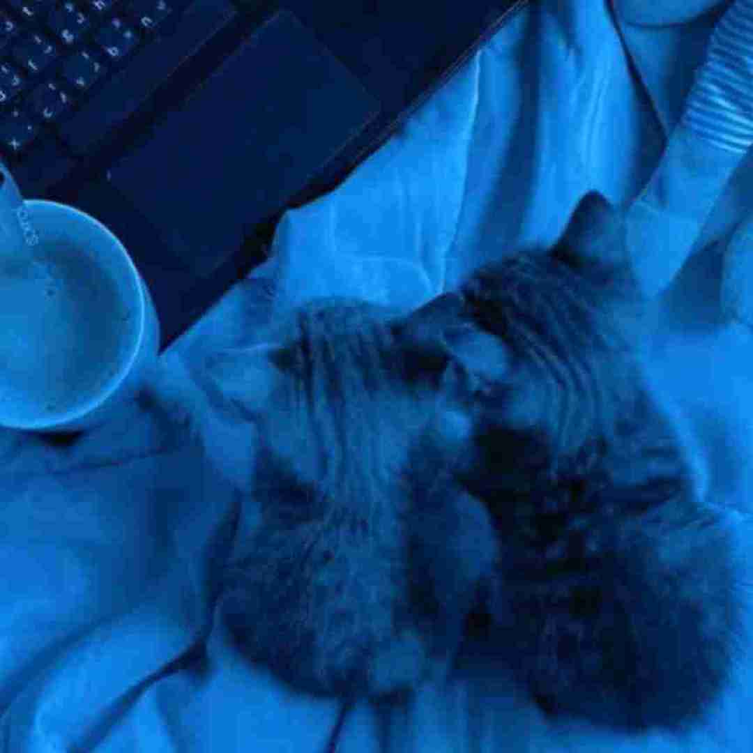  اگر چه جای دل دریای خون در سینه با صدای پسر