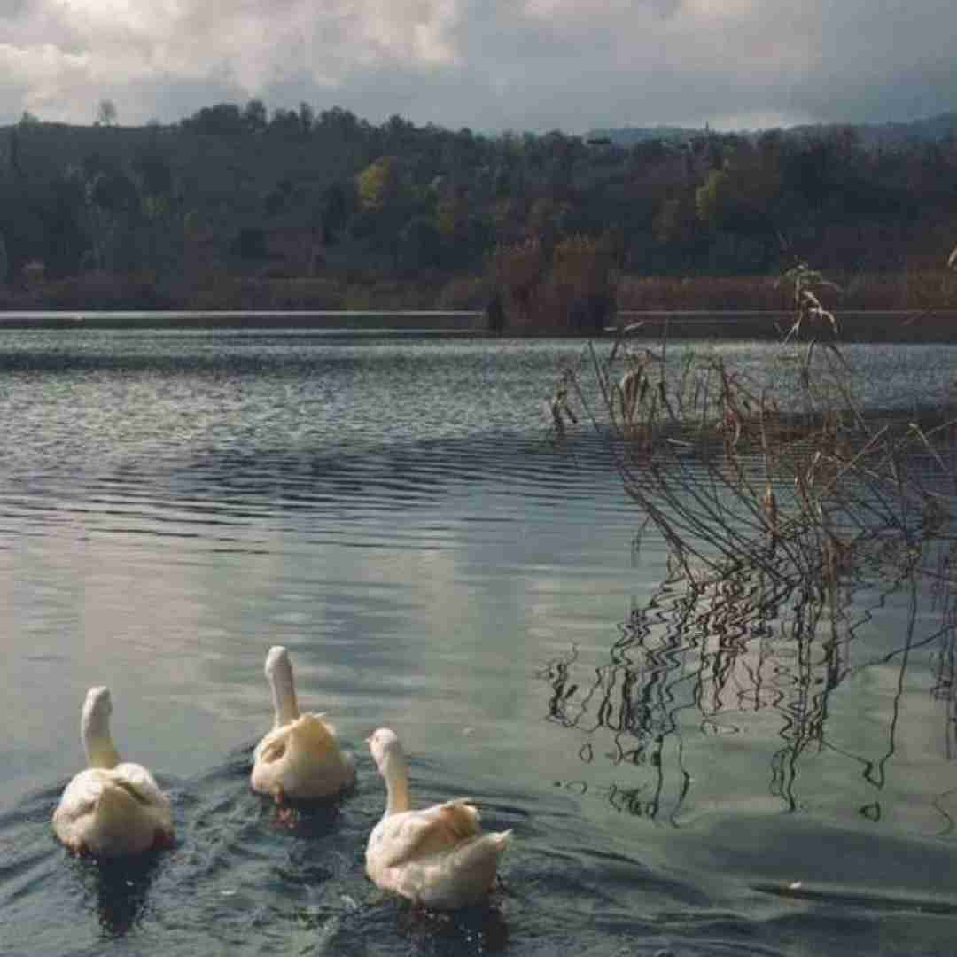  تو تنها دوم شخص مفرد منی با صدای بچه