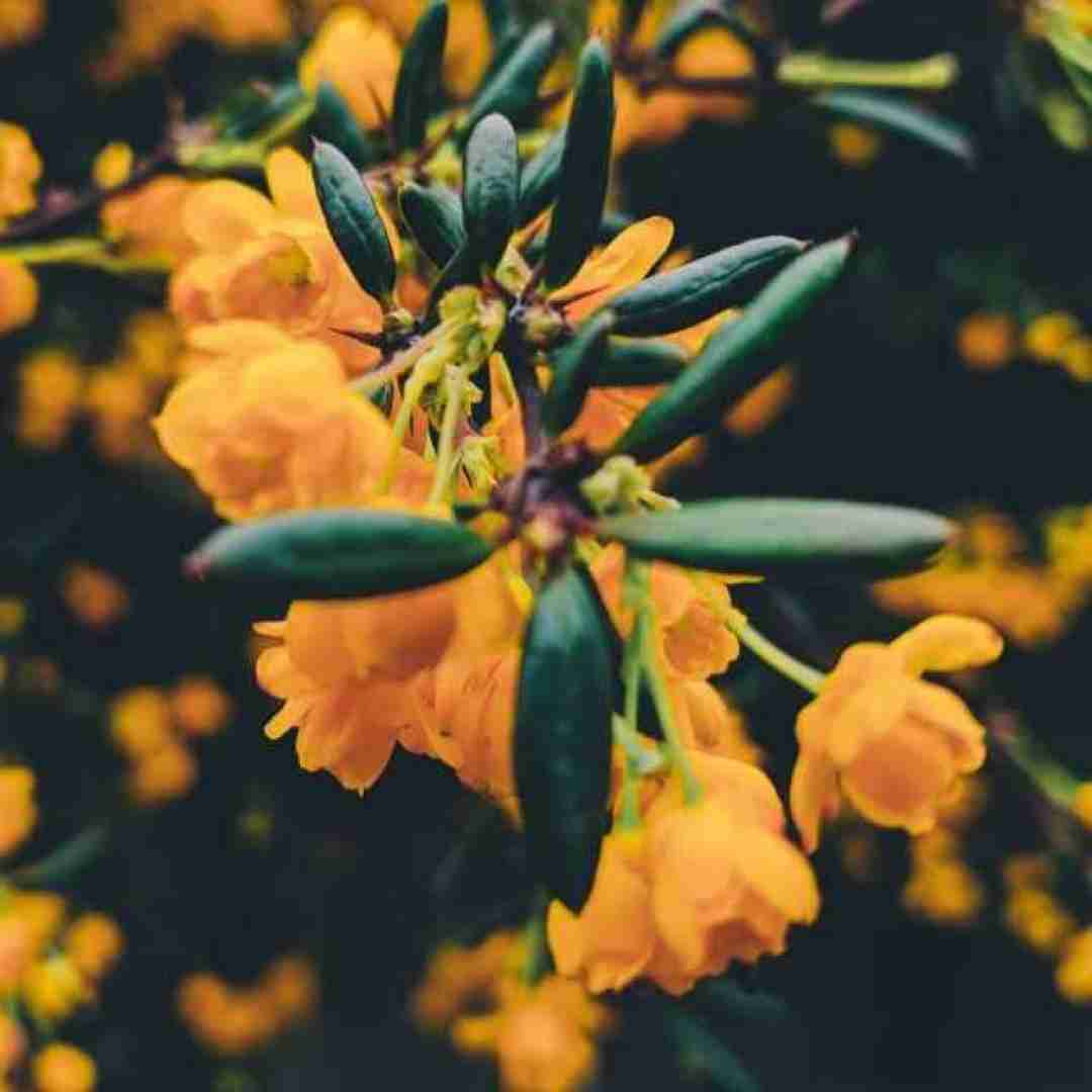  آهای آهای خوشگل چشم آبی با موی بورم (ترند اینستایی)