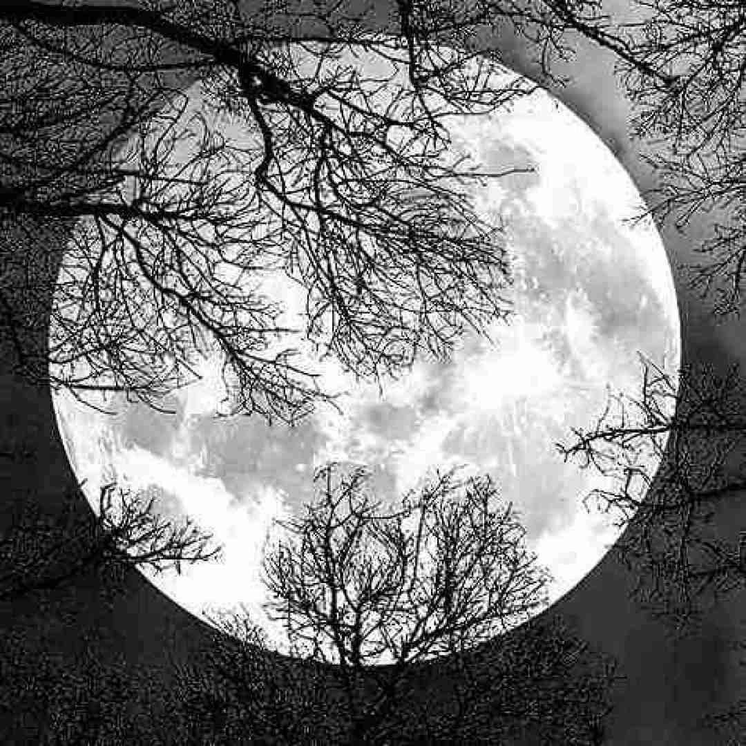  دلکم دلبرکم دلبره بانمکم با صدای بچه