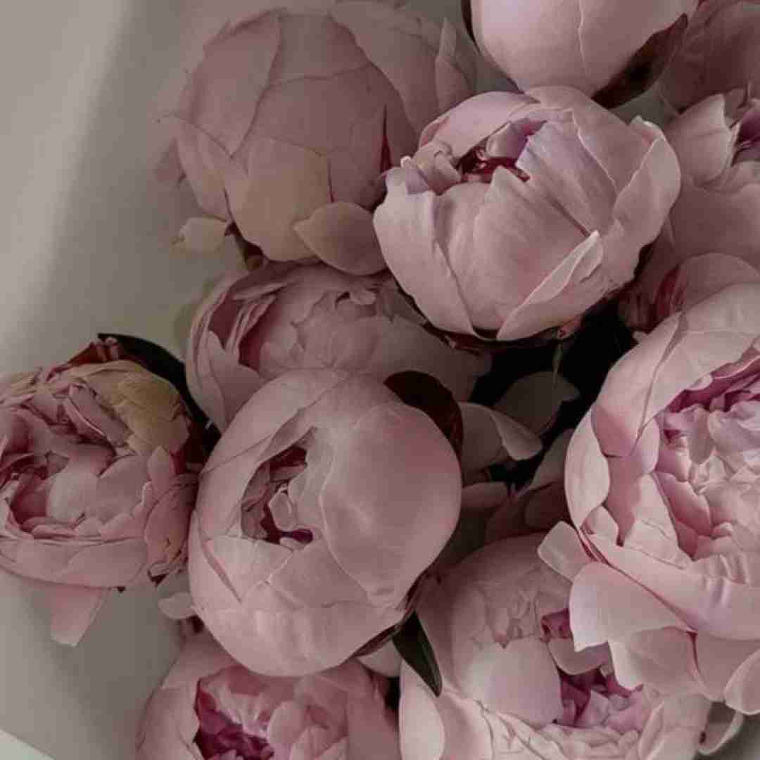  لو الف الدنیا لو الف العالم مش ممکن با صدای دختر