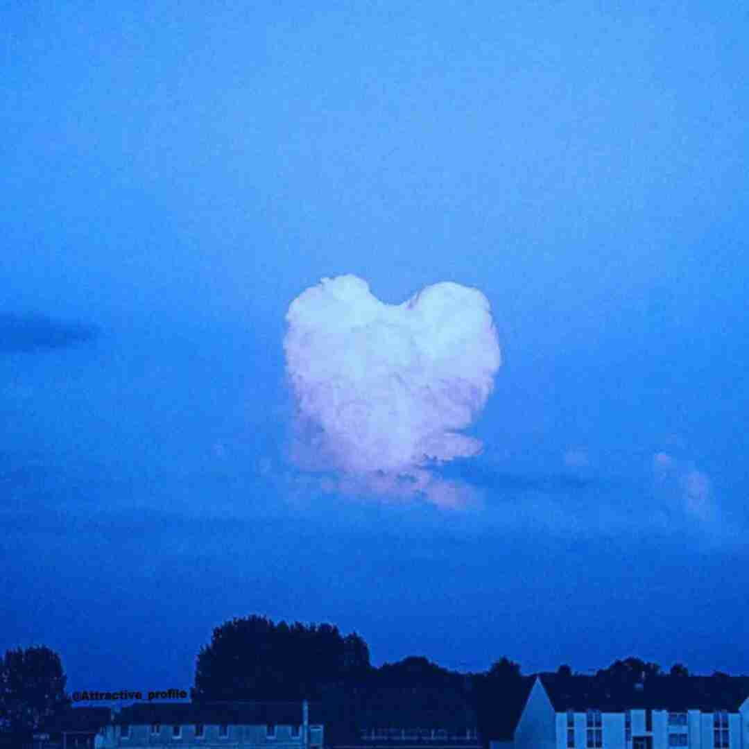 https://admlink.ir/bot/dl/2508499/6406150621/آهنگ_های_اینستاگرامی__Instagram_Music1_2.mp3 جان من جانان من با توام حتی اگر باشی گناهم نازتو میخرم تمام
