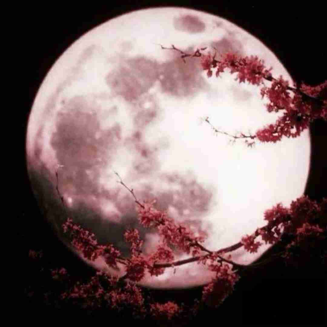  پره بغضه گلوم تو کجایی یعنی با صدای‌ بچه
