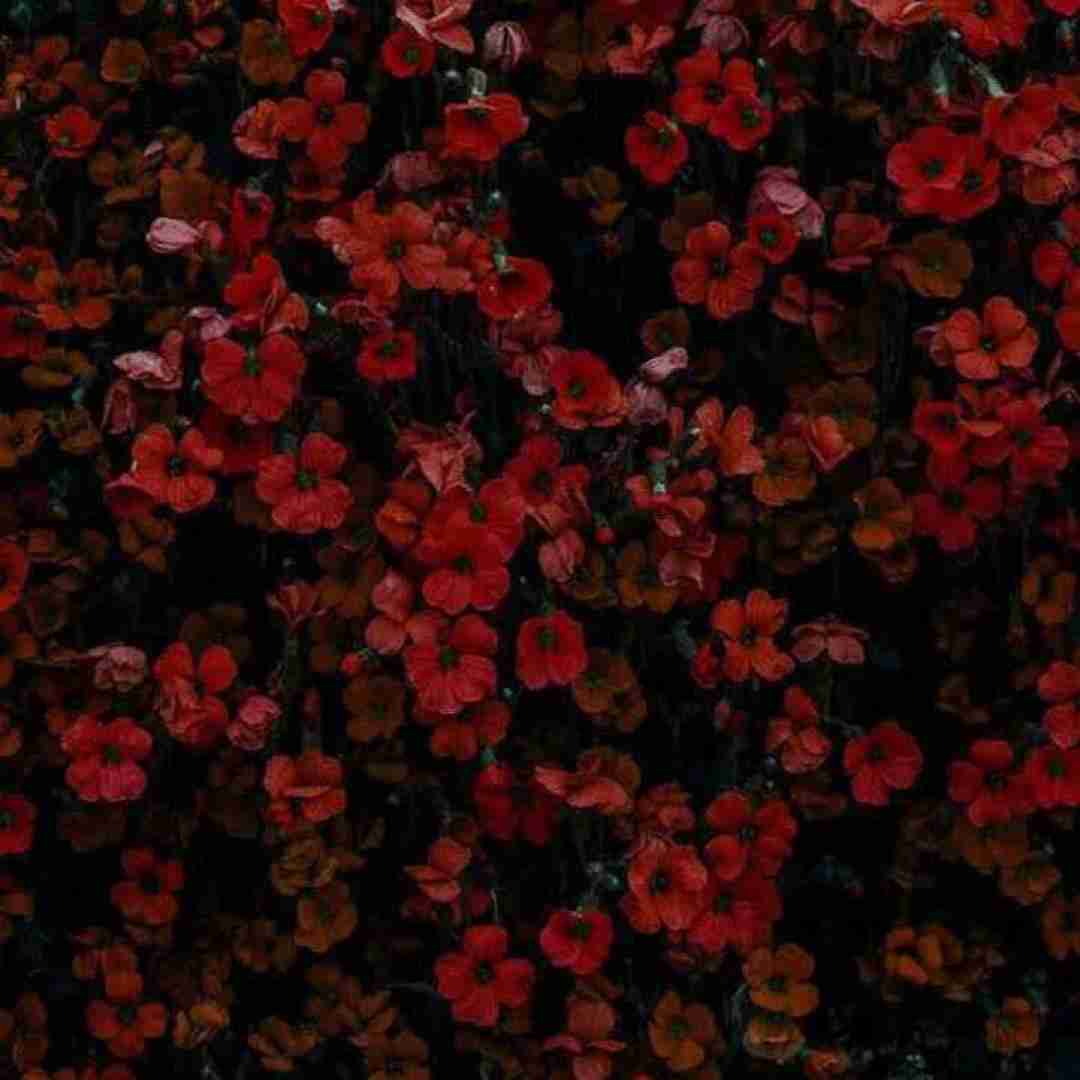  چه دلنواز اومدم اما با ناز اومدم ورژن جدید اینستایی