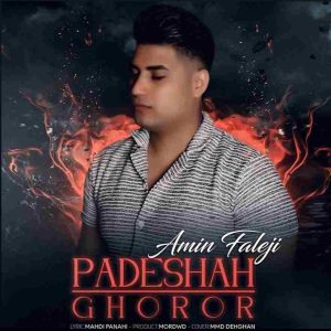 دانلود آهنگ پادشاه غرور از امین فالجی