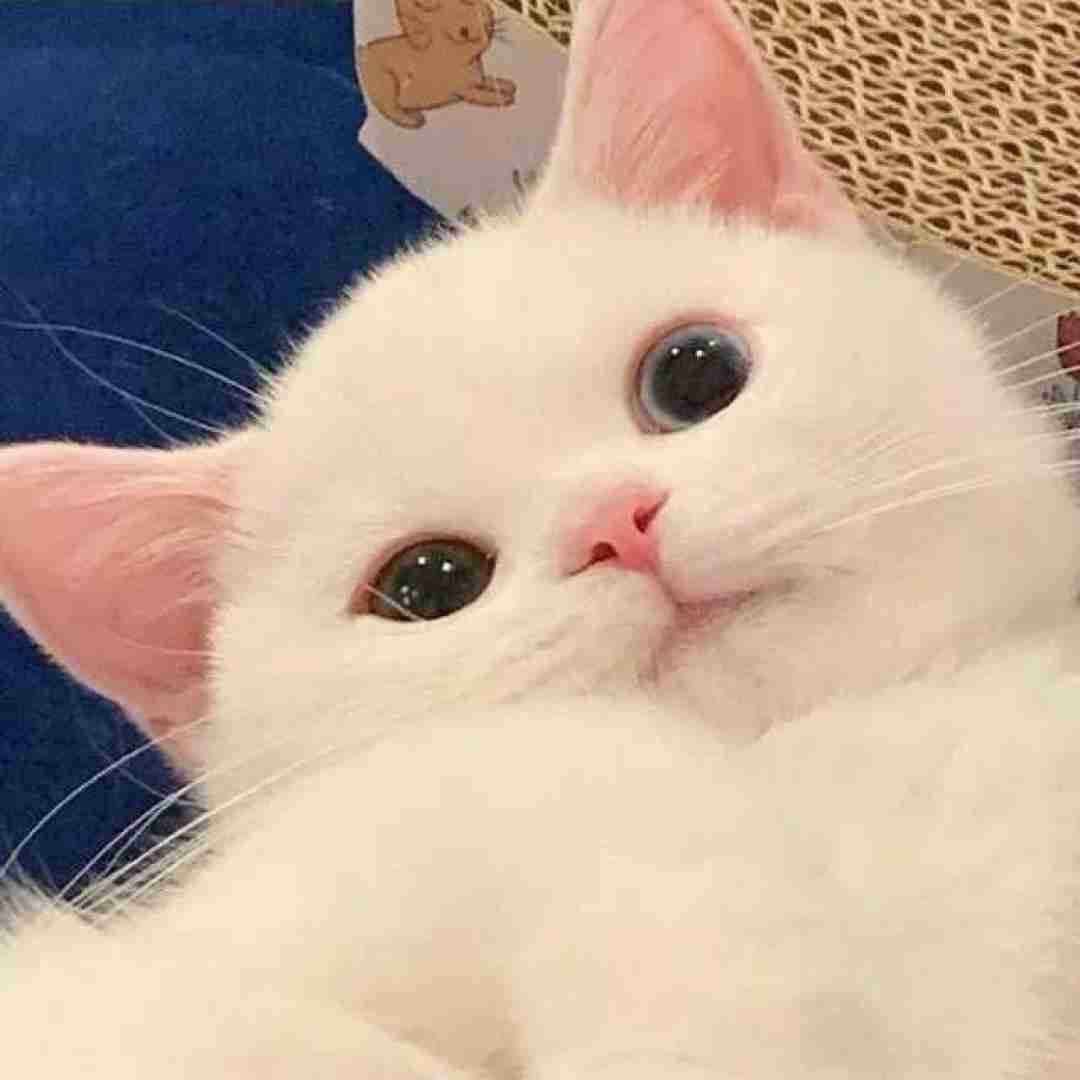  کاش انقد فک نکنم اصلا به تو کاش با صدای دختر