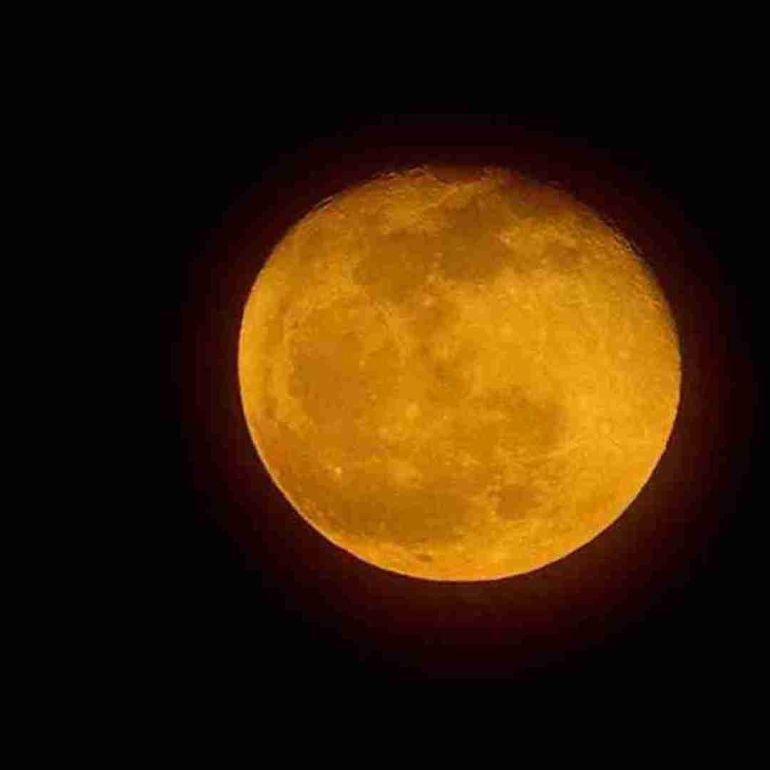  انگار که هوا مست بهاره صدای پای گل با صدای بچه