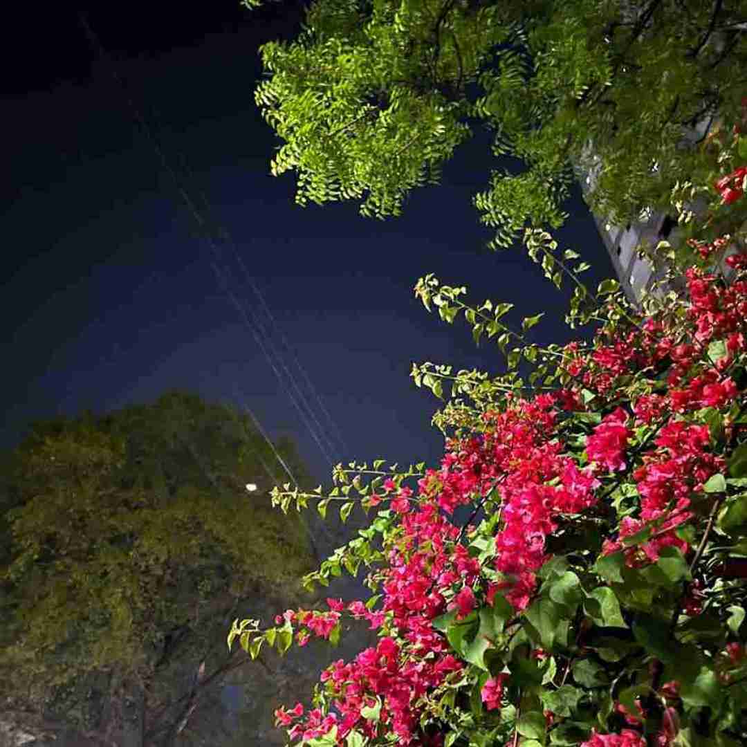  دستای گرمتو رد کردم ماهمی ماه منی خانومی کن و صبر کن