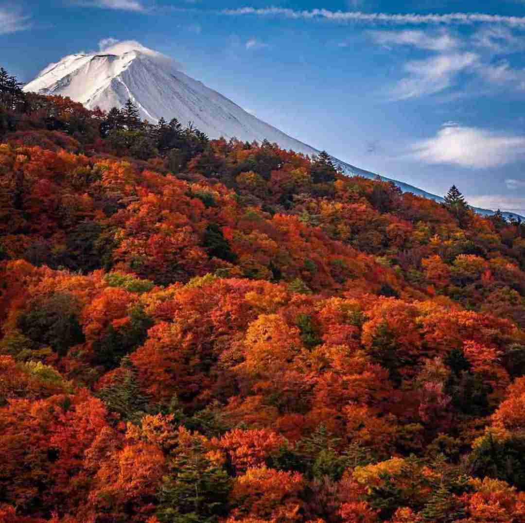  میای رو تنم از تو نمیگذرم