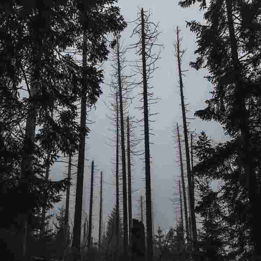 منو ول نکنی تو تنهایی ها کاشکی مثلا یدفعه با صدای پسر